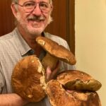 Porcini da record a La Cà di Lizzano in Belvedere (Bo)