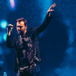 Cremonini tra i delfini