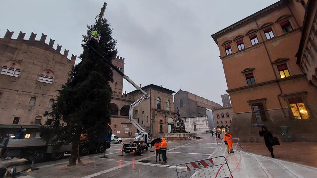 L’albero di Natale arrivato in Piazza Nettuno