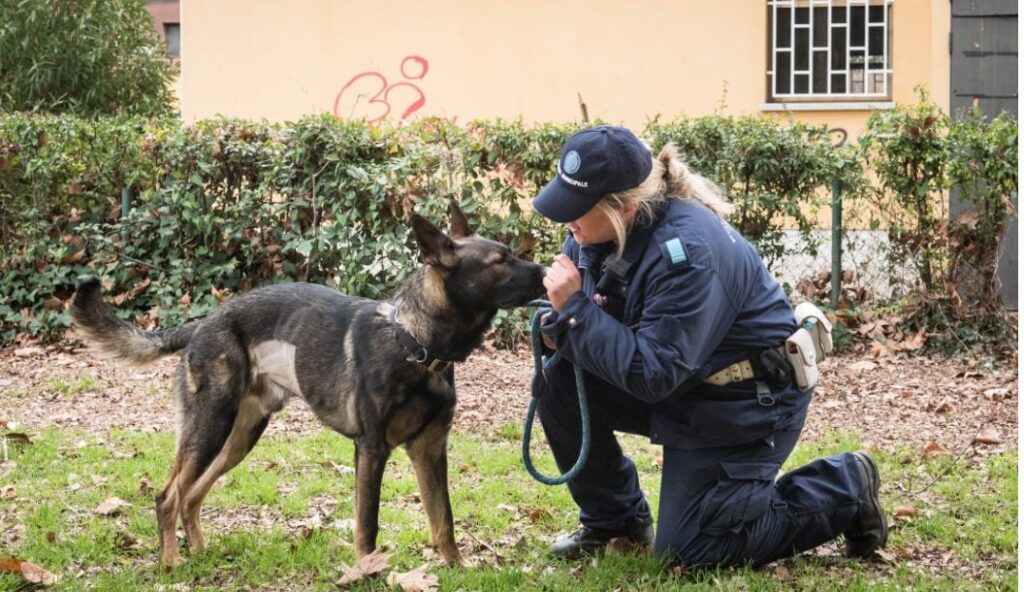 Grey e Apache scoprono, nei parchi, 127 involucri di cocaina