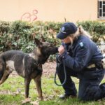 Grey e Apache scoprono, nei parchi, 127 involucri di cocaina