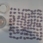 Aveva in casa 144 pasticche di MDMA, arrestato