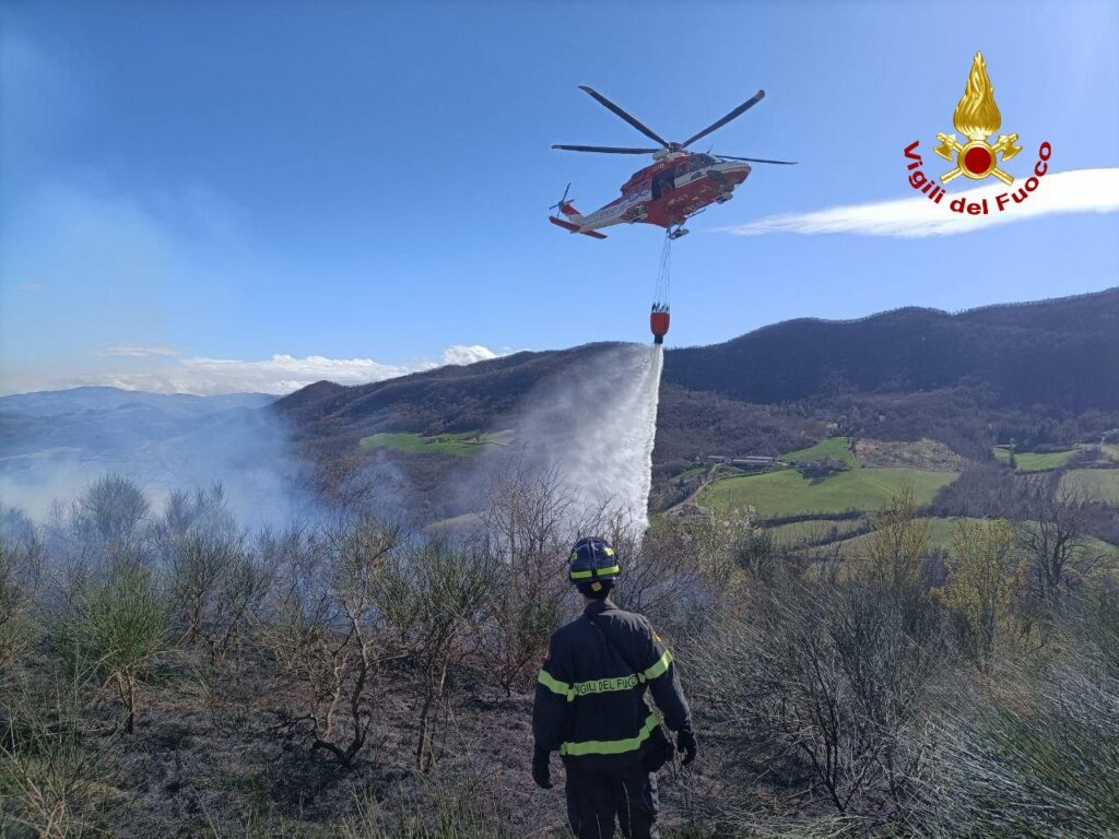 Bosco in fiamme a Savigno