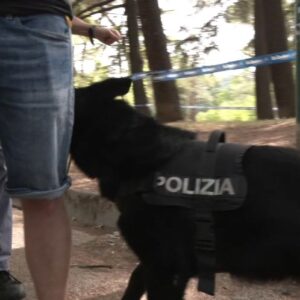 Droga nascosta in Montagnola, ma il cane Jago la trova