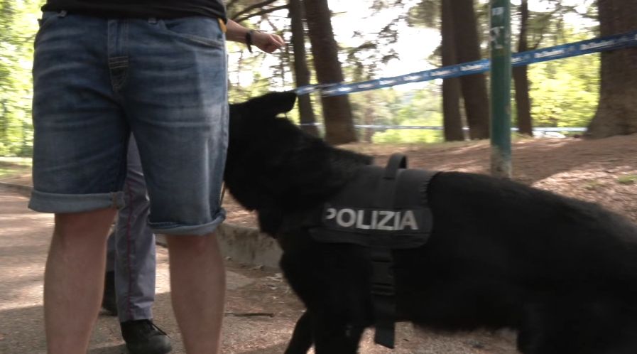 Droga nascosta in Montagnola, ma il cane Jago la trova