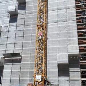 La nuova provocazione di Extinction Rebellion: figure di animali attaccate alla gru