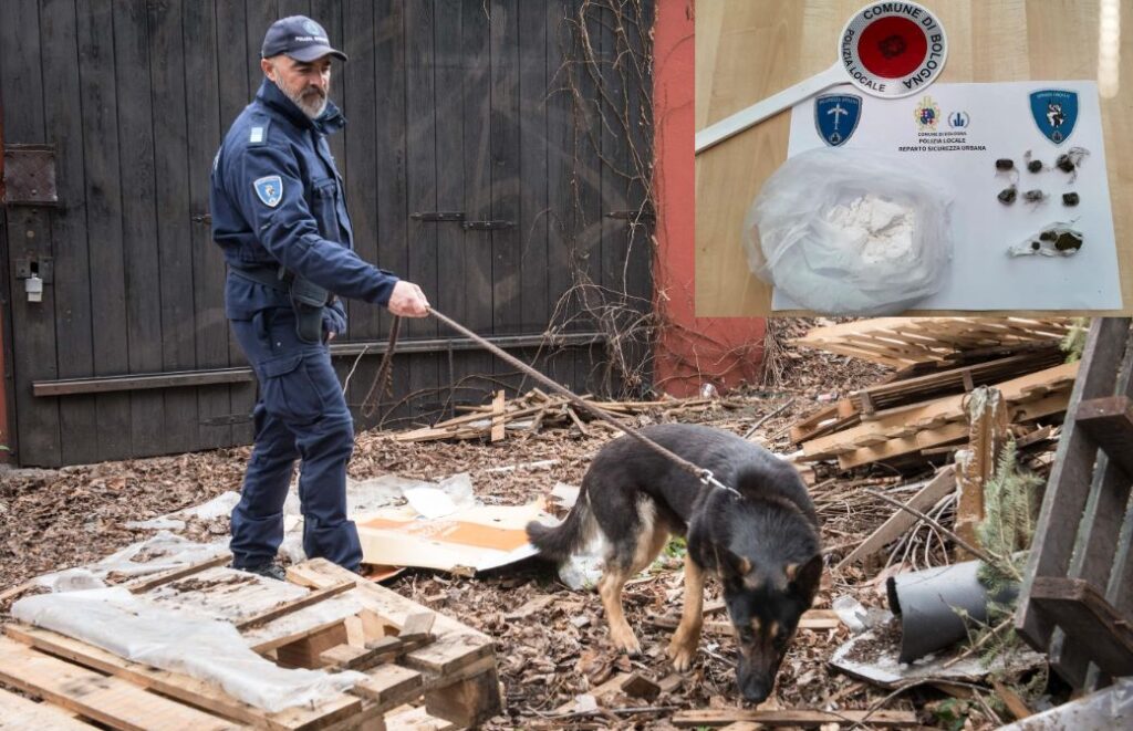 Il cane poliziotto Ares fiuta oltre un etto di droga