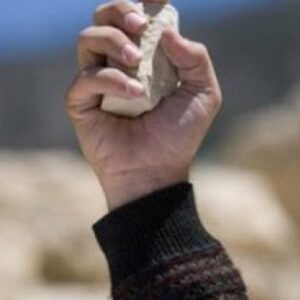 Assalto al liceo Sabin occupato