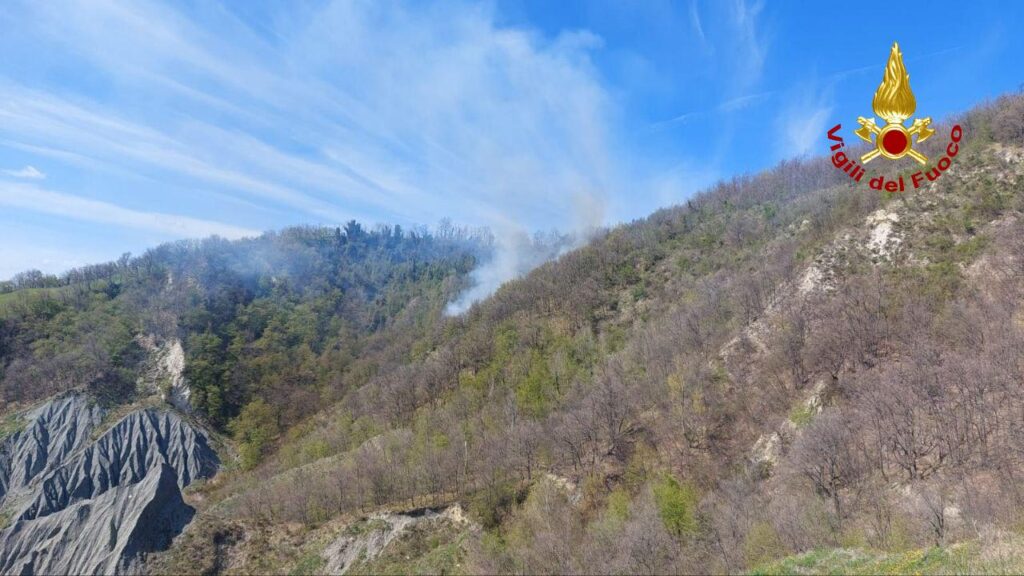 Incendio di un bosco a Castel San Pietro Terme