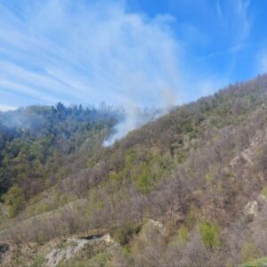 Incendio di un bosco a Castel San Pietro Terme