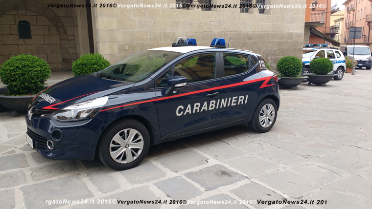 Muore un cane dimenticato nel bagagliaio