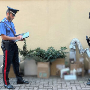 Coltiva in casa 37 piante di cannabis, arrestato