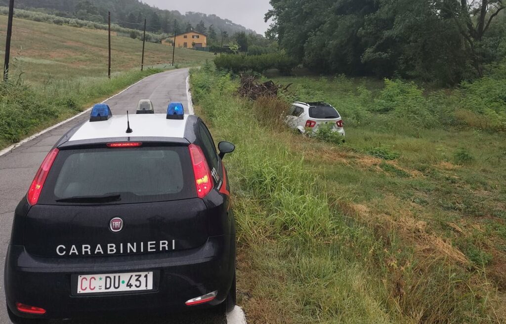 Punto da una vespa, perde i sensi e finisce fuori strada