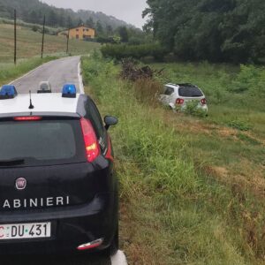 Punto da una vespa, perde i sensi e finisce fuori strada