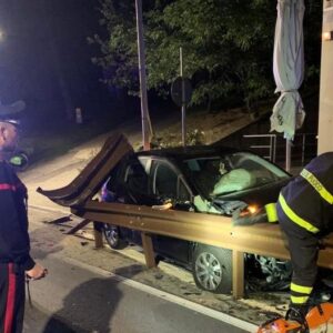 Esce di strada per evitare un animale