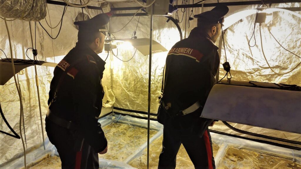 Coltivava cannabis in casa, arrestato