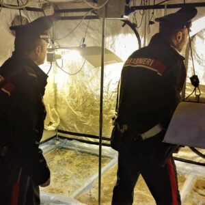 Coltivava cannabis in casa, arrestato