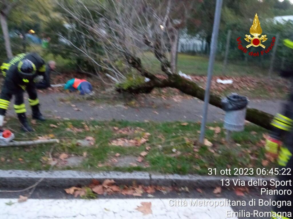 Il vento di Halloween fa cadere un albero a Pianoro: ferite due donne