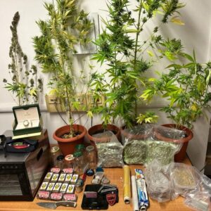 Una lite fa scoprire il ‘covo’ di due spacciatori a Bologna