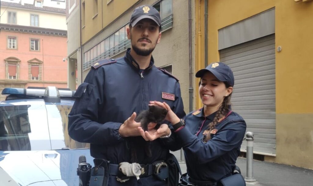 Un gattino si nasconde nel motore di una Volante, salvato dai poliziotti