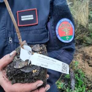 La ‘Giornata nazionale degli alberi’ con i Carabinieri