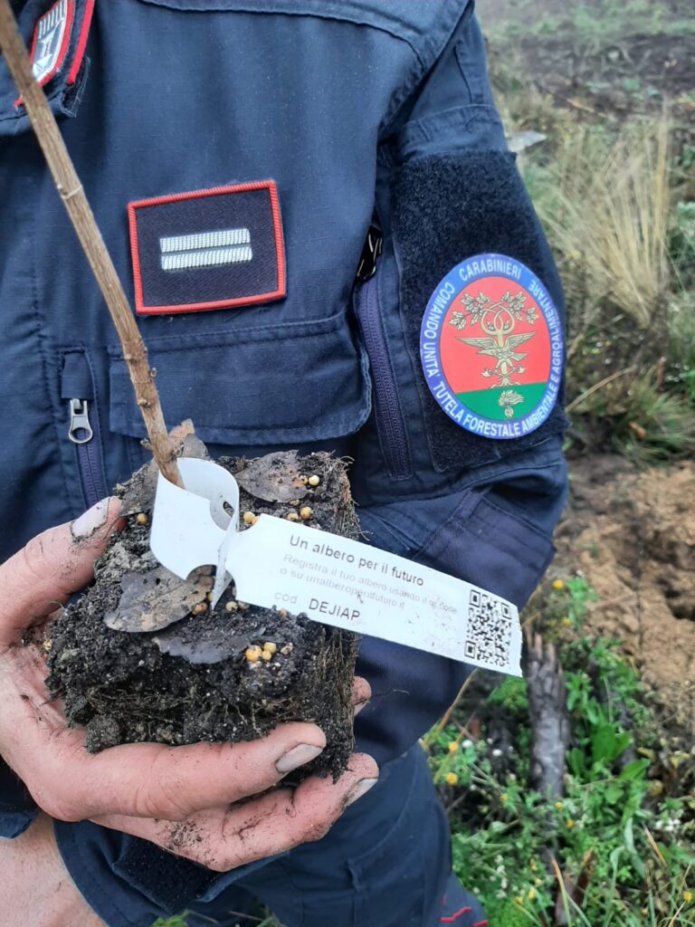 La ‘Giornata nazionale degli alberi’ con i Carabinieri