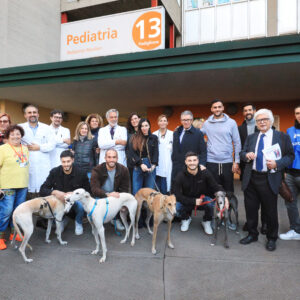 A Bologna i levrieri maltrattati ‘curano’ i bambini ricoverati