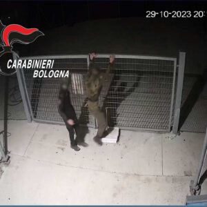 Mascherati da Stalin per assaltare un’azienda avicola