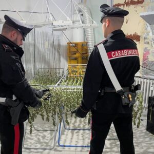Coltiva ‘erba’ in casa e aggredisce i carabinieri