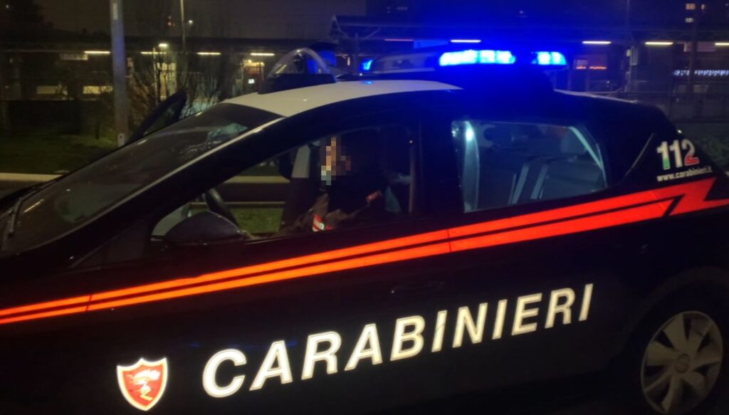 Picchia la compagna e minaccia di ucciderle il gatto