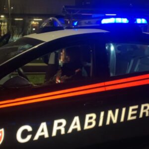 Picchia la compagna e minaccia di ucciderle il gatto