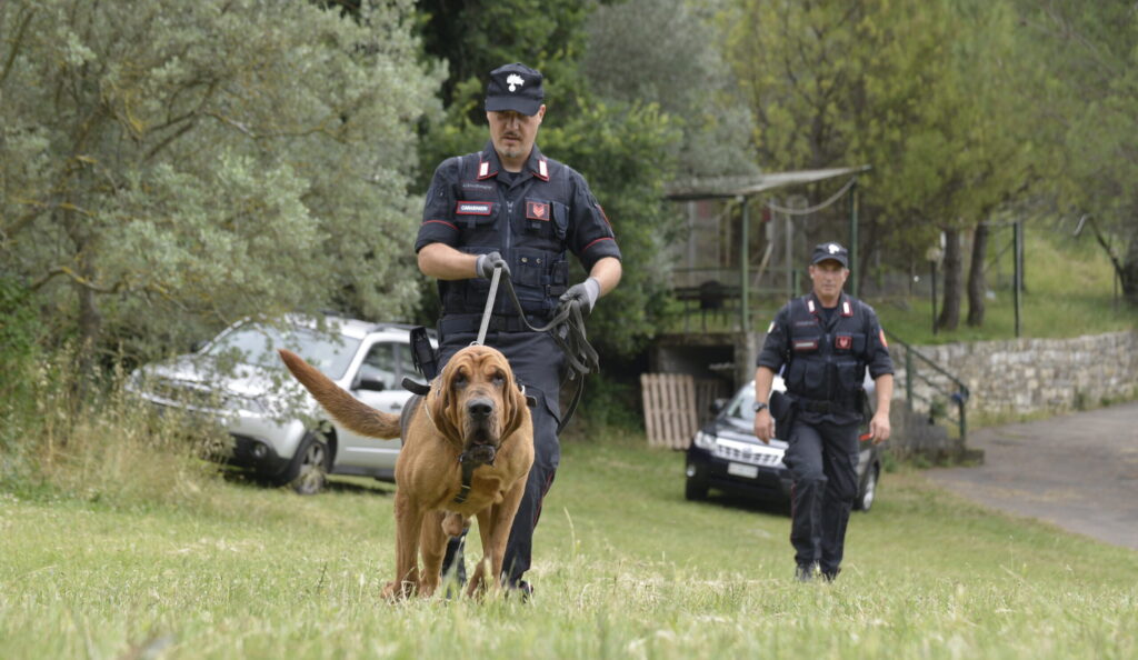 Pianoro: i carabinieri cercano refurtiva e trovano droga