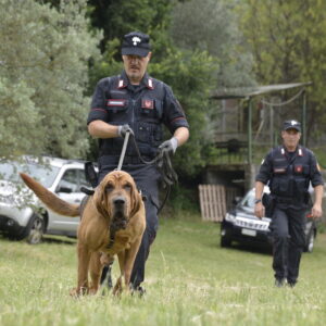 Pianoro: i carabinieri cercano refurtiva e trovano droga