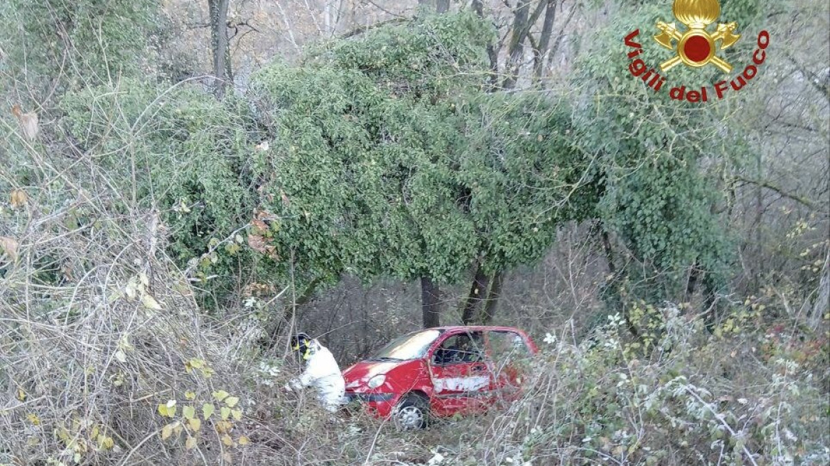 Finisce con l'auto contro un albero e poi in una scarpata: muore ...