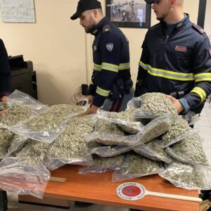 Tredici chili di marijuana nascosti in uno scatolone di cuscini: arrestato automobilista