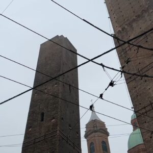 Garisenda, donazione da 10mila euro dall’Ordine dei Commercialisti