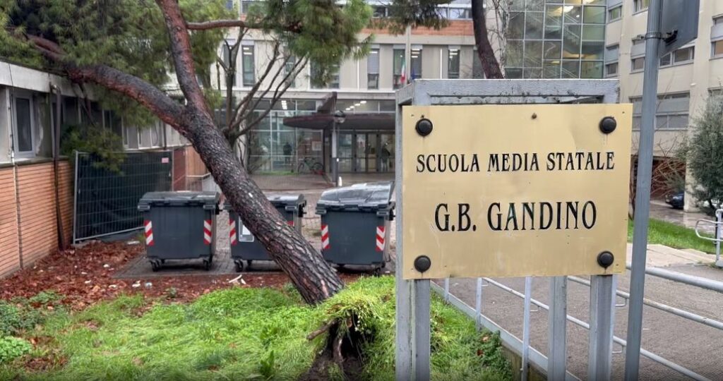 Crolla un albero davanti a una scuola a Bologna