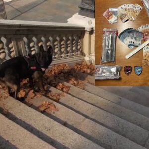 Pomeriggio di controlli antidroga in centro a Bologna: due arresti e quattro denunce