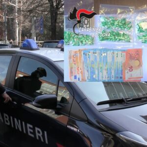 I vicini segnalano un Rottweiler che disturba, i carabinieri trovano due etti di cocaina