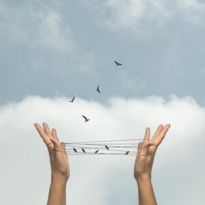 Legge sul fine-vita: Governo contro Regione Emilia Romagna