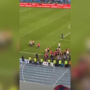 Il Bologna batte anche il Napoli, la Champions è a un soffio