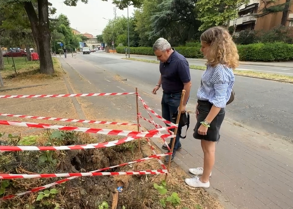 Albero caduto in via San Donato, Stanzani (FI): ‘Erano state tagliate parti delle radici’