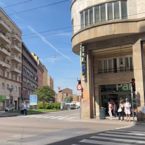 Ruba 4 kg di arachidi, arrestato dalla Polizia Locale