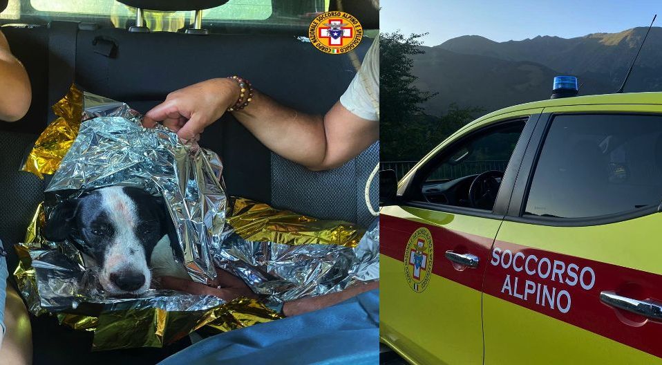 Cagnolino precipita durante una gita, salvato dal Soccorso Alpino