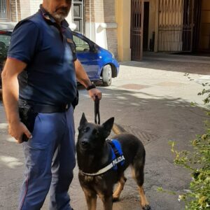 Spacciano nel parco pubblico, smascherati dal cane poliziotto Havana