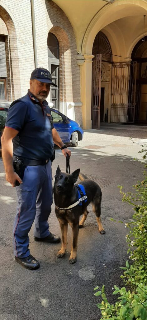 Spacciano nel parco pubblico, smascherati dal cane poliziotto Havana