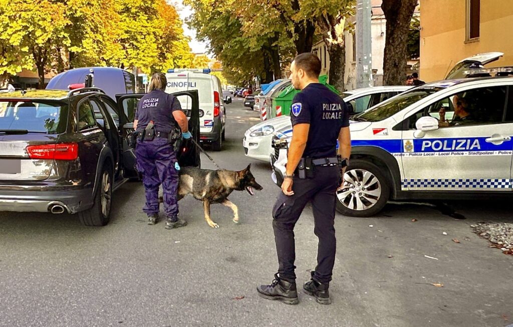 In auto con un coltello (sporco di droga): il cane poliziotto Grey lo fiuta