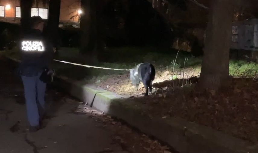 Il cane poliziotto trova la cocaina nascosta in tubo di scappamento, spacciatore arrestato