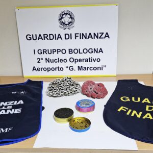 Corallo e caviale introdotti illegalmente, sequestrati dalla Guardia di Finanza