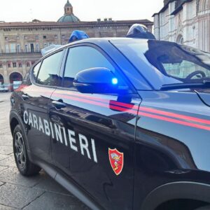 Tenta di rubare l’arma a un carabiniere, arrestato